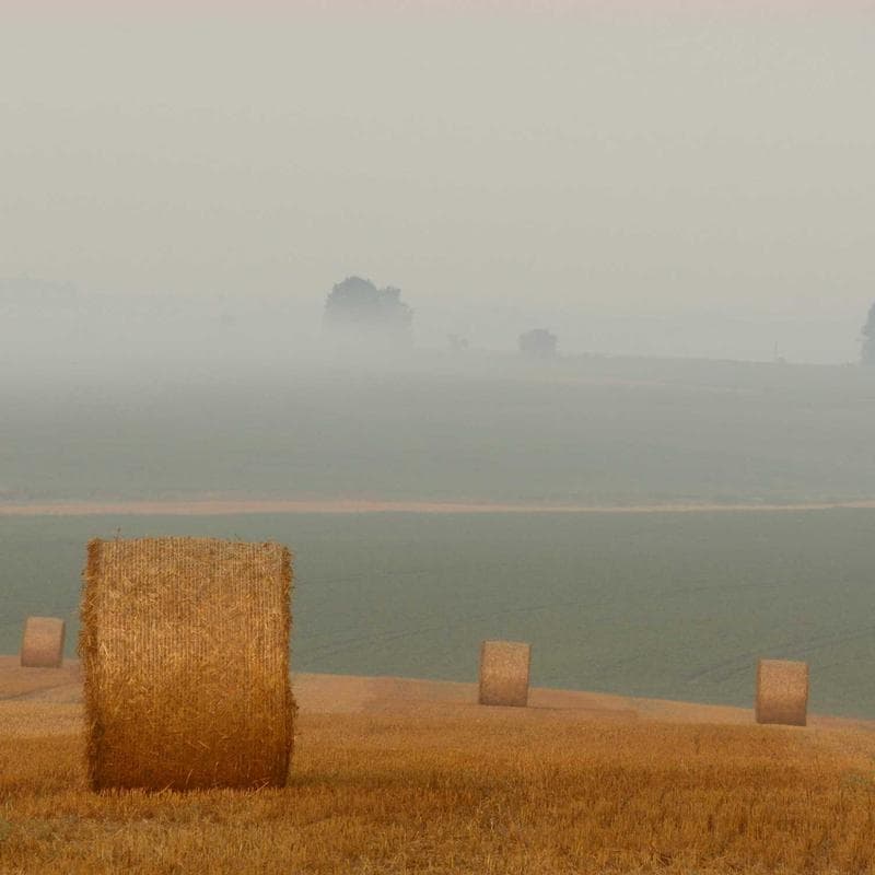 Cuerda de Saltar Pro