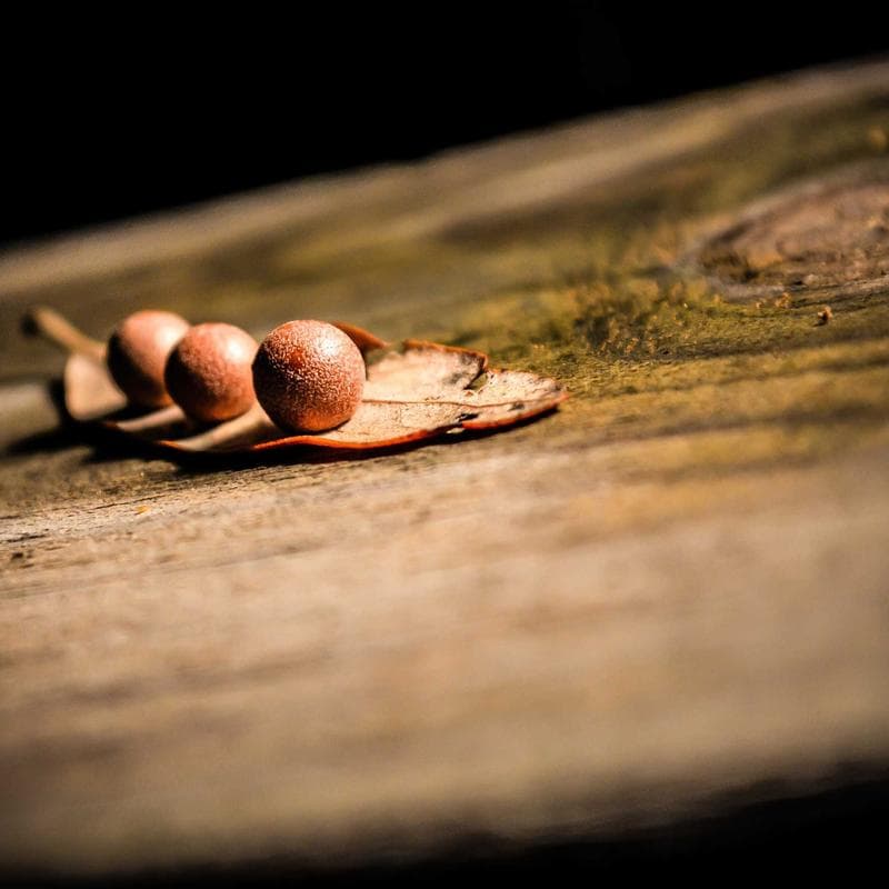 Reloj de Pared Minimalista