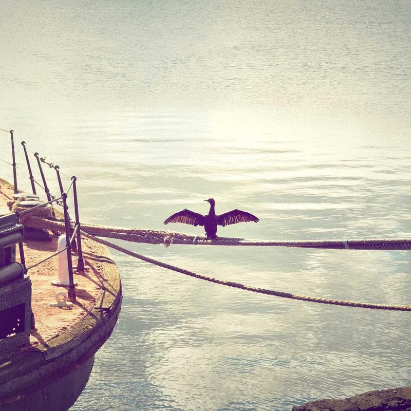 Set Plumas Metálicas (x3)